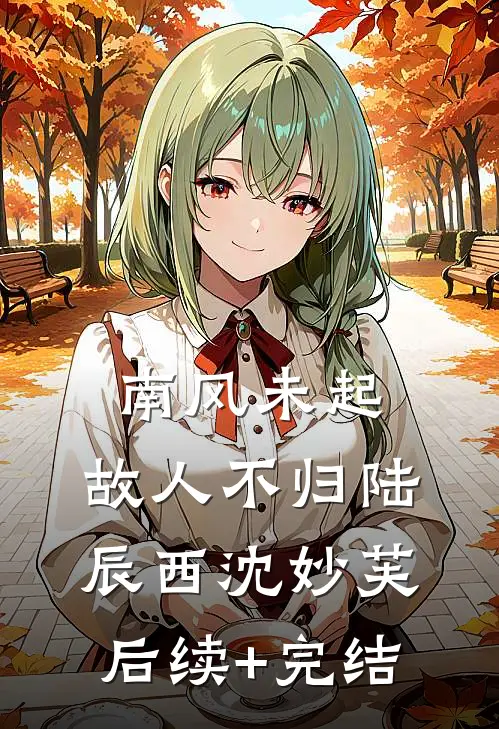 南风未起，故人不归陆辰西沈妙芙后续+完结