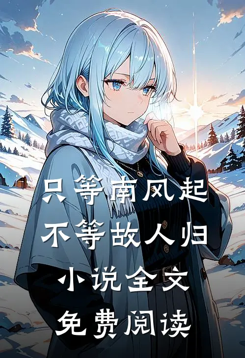 只等南风起，不等故人归小说全文免费阅读