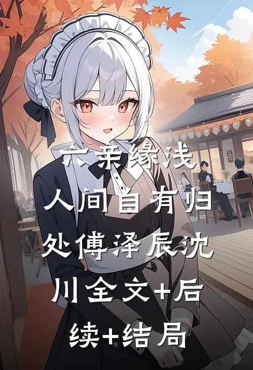 六亲缘浅，人间自有归处傅泽辰沈川全文+后续+结局