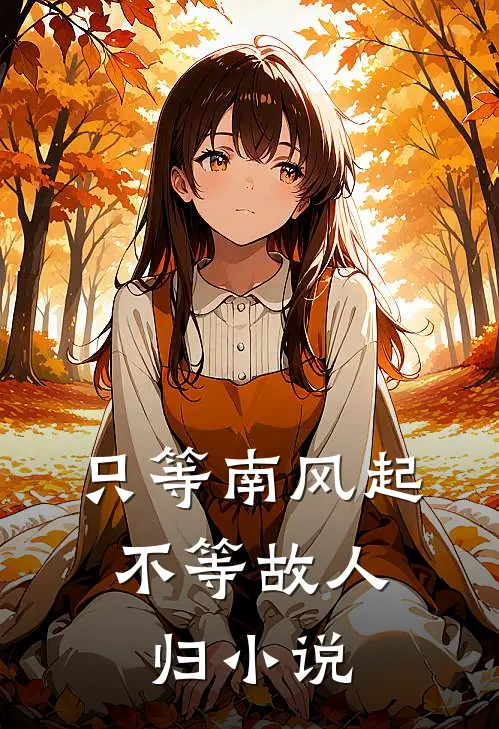 只等南风起，不等故人归小说