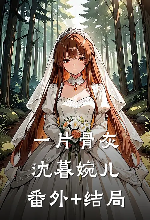 一片骨灰沈暮婉儿:(番外)+(结局)