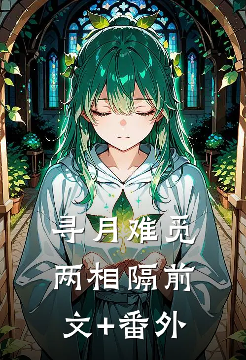 寻月难觅两相隔前文+番外