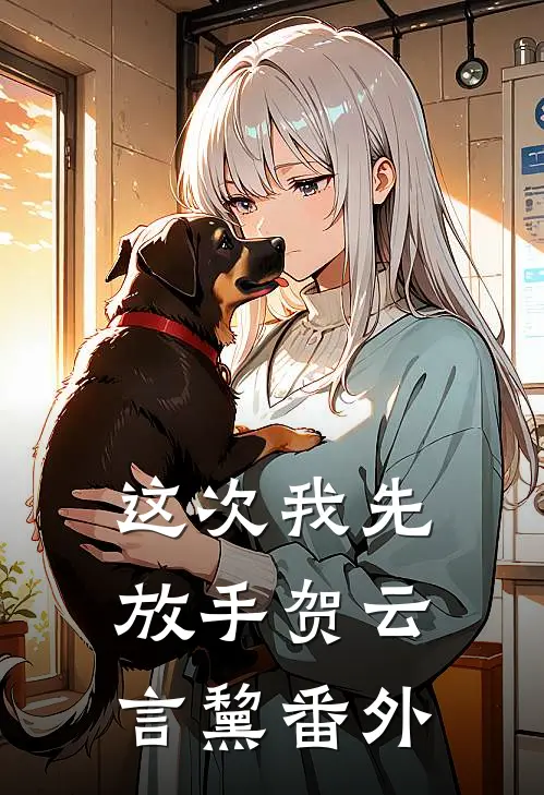 这次我先放手贺云言黧番外