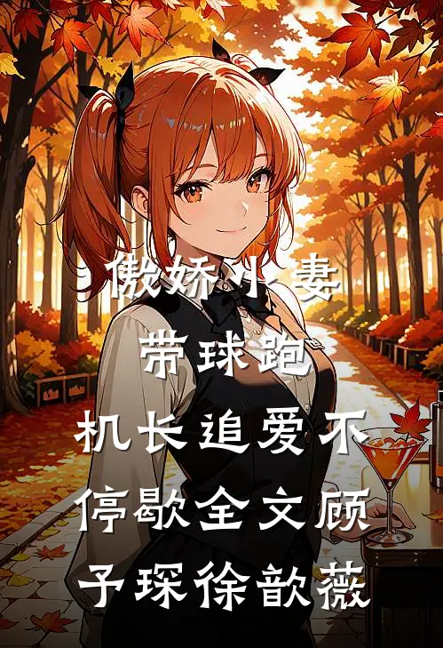 傲娇小妻带球跑，机长追爱不停歇全文顾予琛徐歆薇