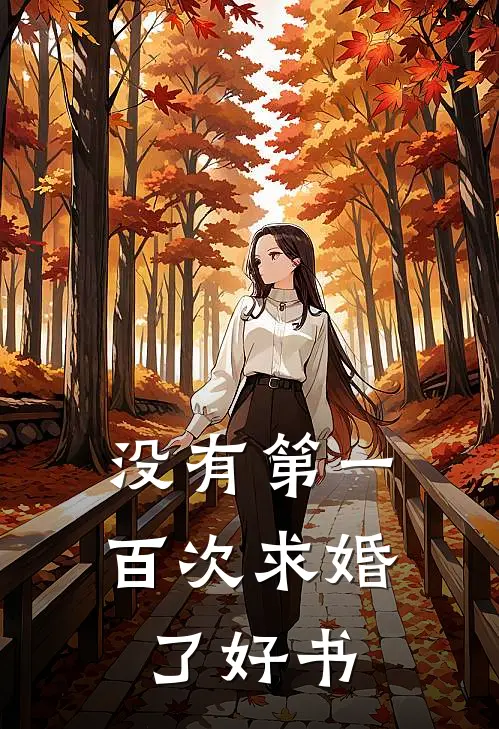 没有第一百次求婚了好书