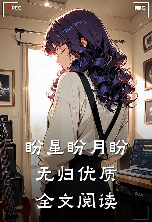 盼星盼月盼无归优质全文阅读