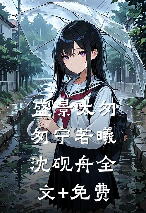 盛景太匆匆宁若曦沈砚舟全文+免费