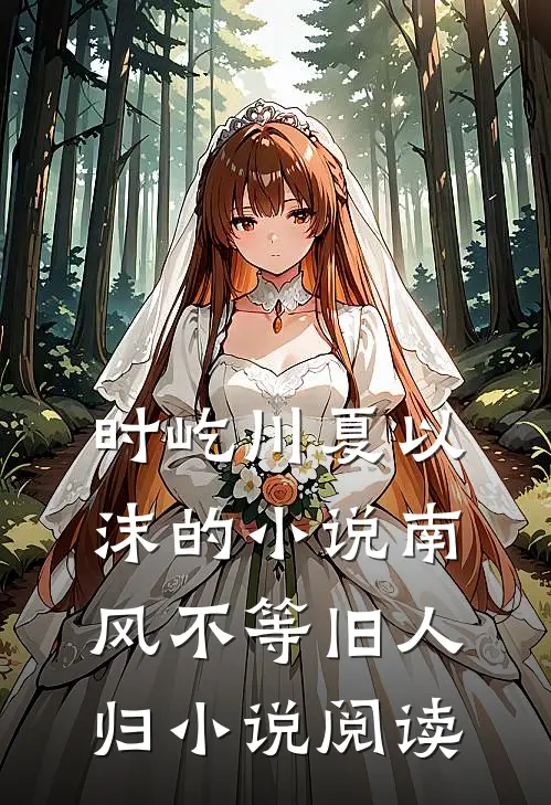 时屹川夏以沫的小说南风不等旧人归小说阅读