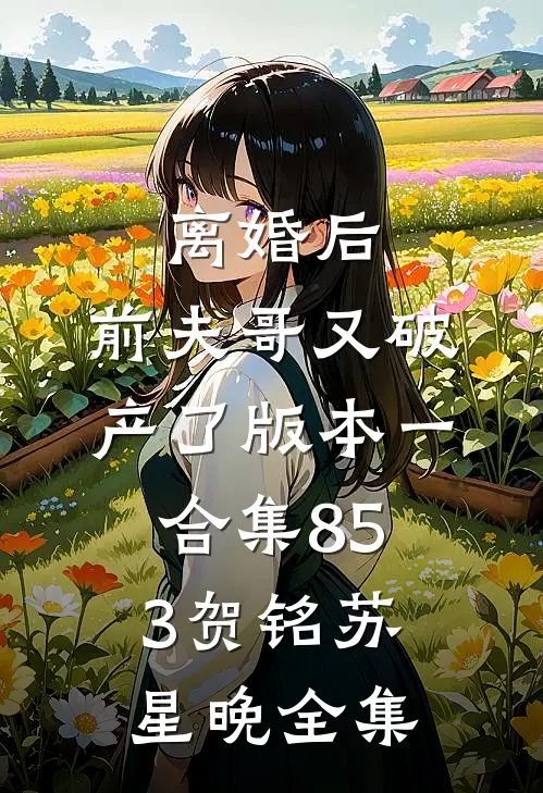 离婚后，前夫哥又破产了 版本一合集853贺铭苏星晚全集