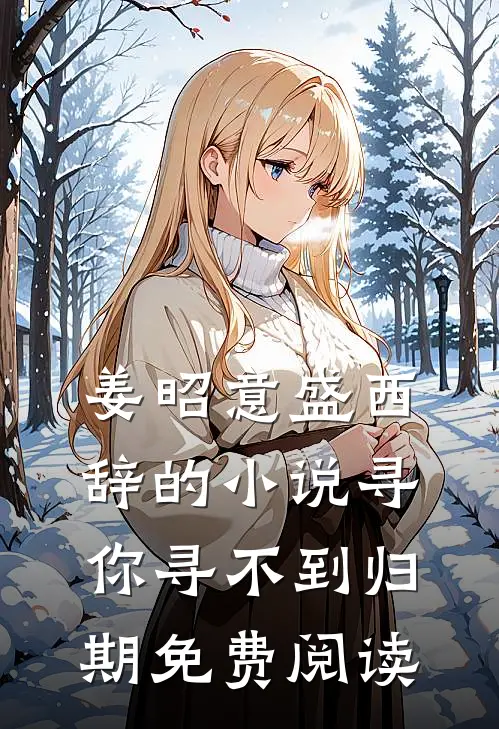 姜昭意盛西辞的小说寻你寻不到归期免费阅读