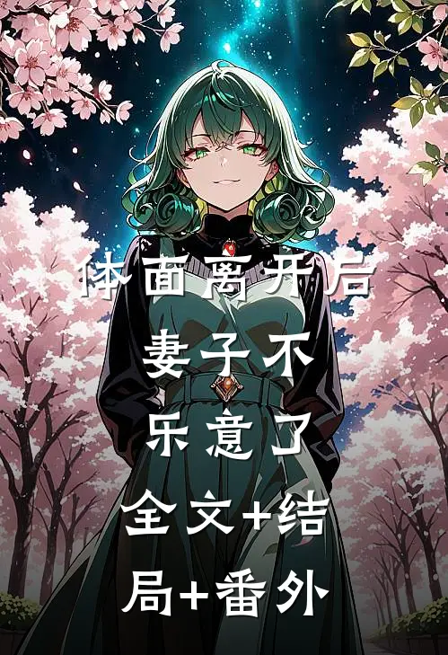 体面离开后，妻子不乐意了:全文+结局+番外