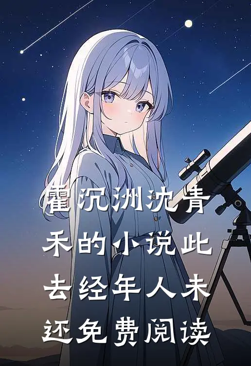 霍沉洲沈青禾的小说此去经年人未还免费阅读