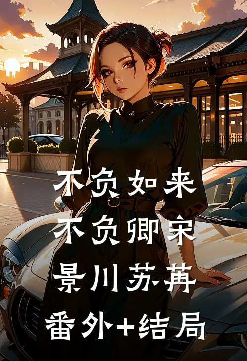 不负如来不负卿宋景川苏苒:(番外)+(结局)