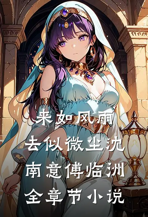 来如风雨，去似微尘沈南意傅临洲全章节小说