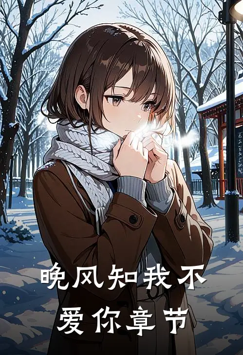晚风知我不爱你章节