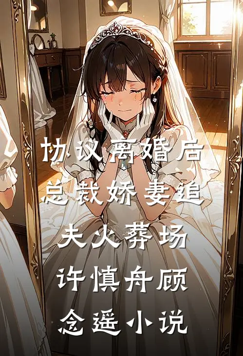 协议离婚后，总裁娇妻追夫火葬场许慎舟顾念遥小说