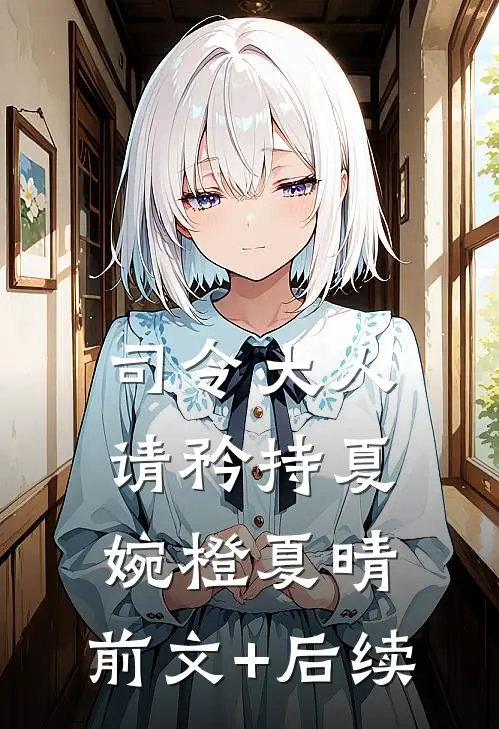司令大人请矜持夏婉橙夏晴:前文+后续