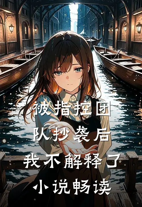 被指控团队抄袭后，我不解释了小说畅读