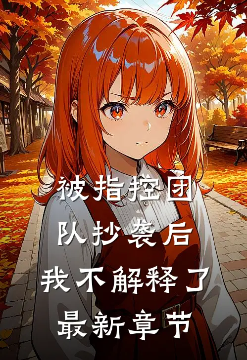 被指控团队抄袭后，我不解释了最新章节