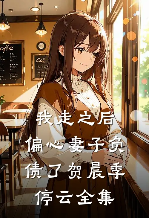 我走之后，偏心妻子负债了贺晨季停云全集