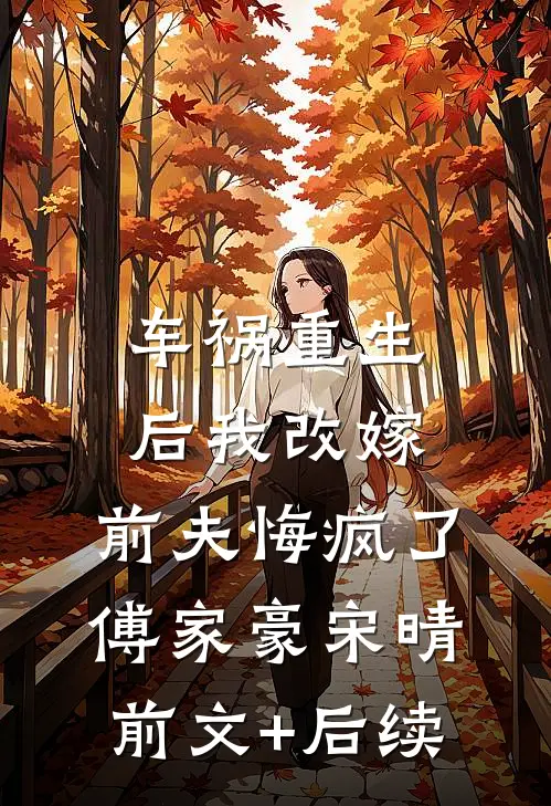 车祸重生后我改嫁，前夫悔疯了傅家豪宋晴前文+后续