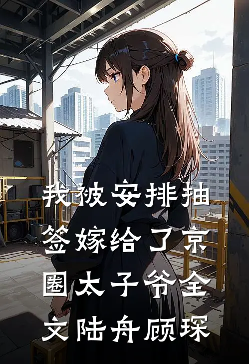 我被安排抽签嫁给了京圈太子爷全文陆舟顾琛
