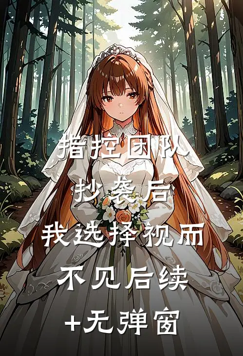 指控团队抄袭后，我选择视而不见后续+无弹窗