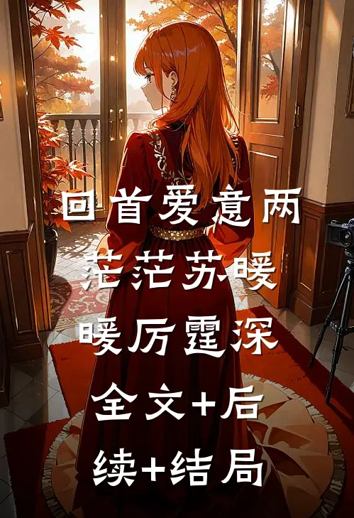 回首爱意两茫茫苏暖暖厉霆深全文+后续+结局