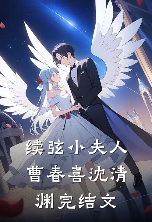 续弦小夫人曹春喜沈清渊完结文