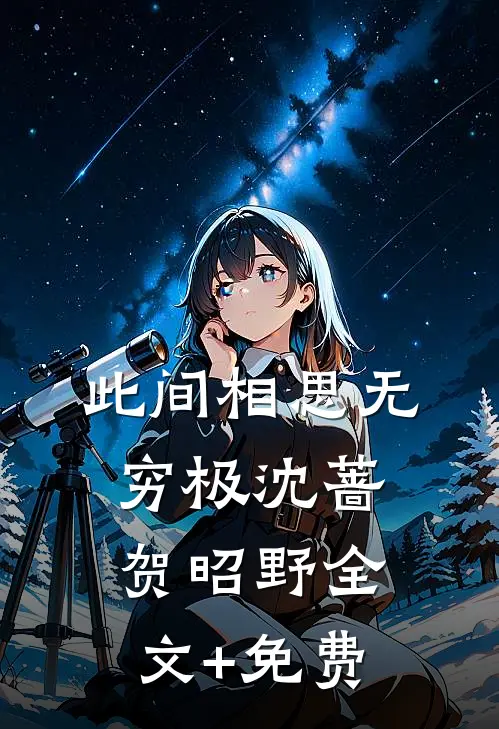 此间相思无穷极沈蔷贺昭野全文+免费