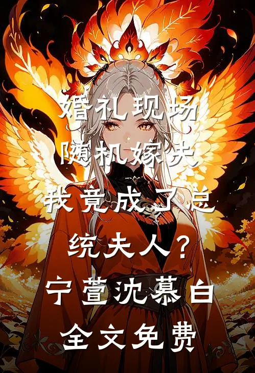 婚礼现场随机嫁夫，我竟成了总统夫人？宁萱沈慕白全文免费