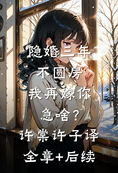 隐婚三年不圆房，我再嫁你急啥？许棠许子译:全章+后续
