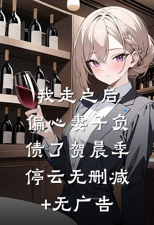 我走之后，偏心妻子负债了贺晨季停云无删减+无广告