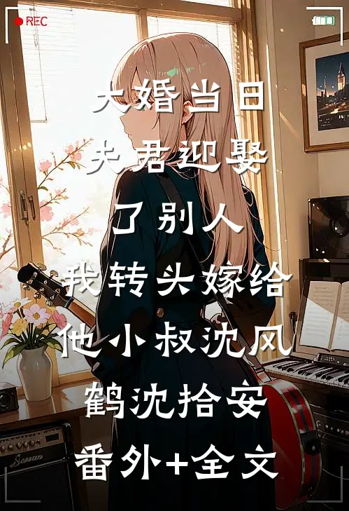 大婚当日夫君迎娶了别人，我转头嫁给他小叔沈风鹤沈拾安:(番外)+(全文)