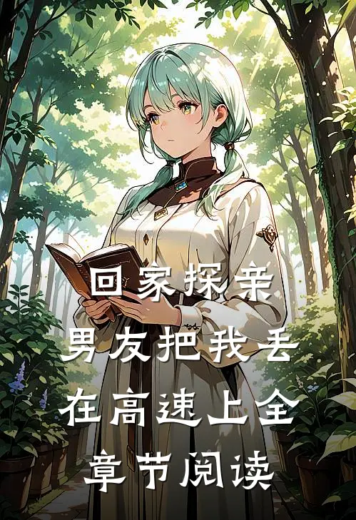 回家探亲，男友把我丢在高速上全章节阅读