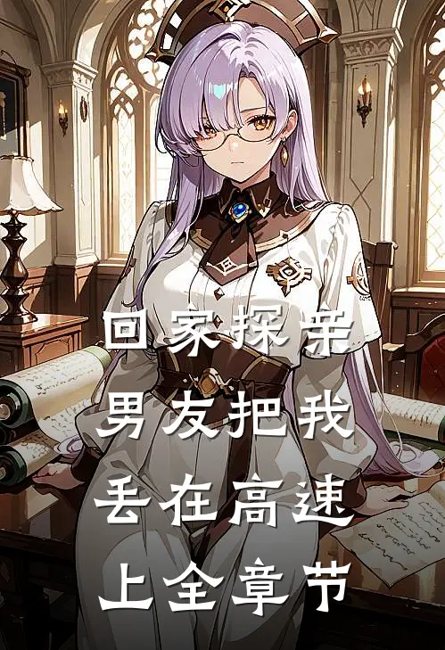 回家探亲，男友把我丢在高速上全章节