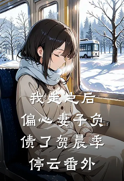 我走之后，偏心妻子负债了贺晨季停云番外