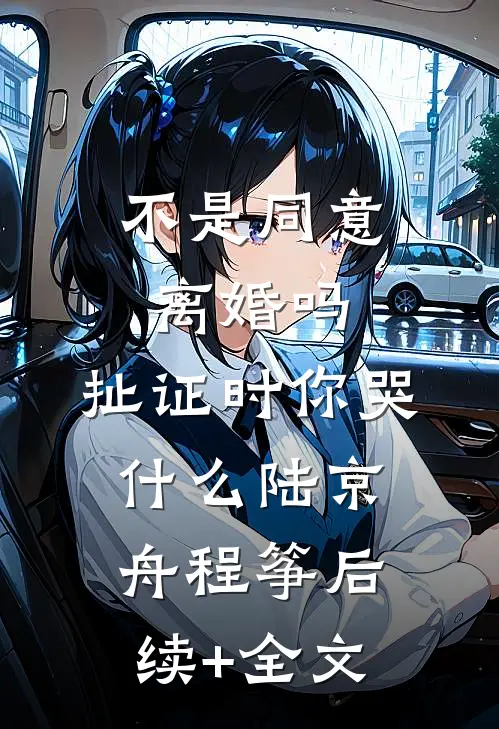 不是同意离婚吗，扯证时你哭什么陆京舟程筝后续+全文