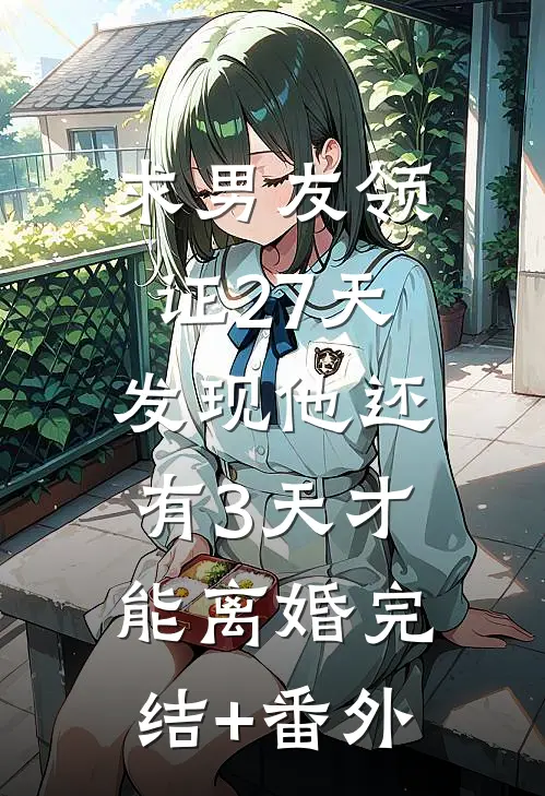 求男友领证27天，发现他还有3天才能离婚完结+番外