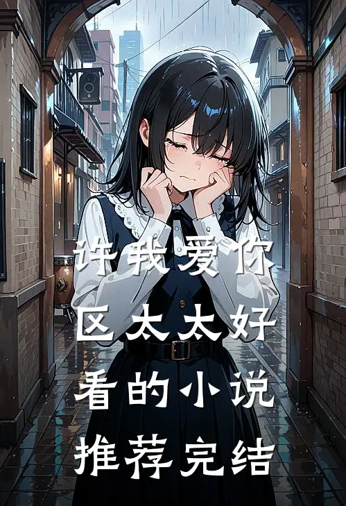 许我爱你，区太太好看的小说推荐完结
