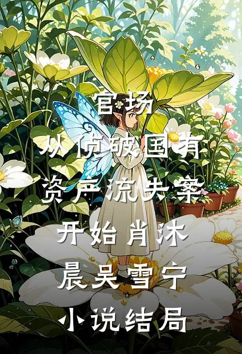 官场：从侦破国有资产流失案开始肖沐晨吴雪宁小说结局