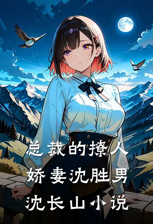 总裁的撩人娇妻沈胜男沈长山小说