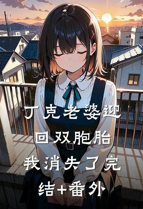 丁克老婆迎回双胞胎，我消失了完结+番外
