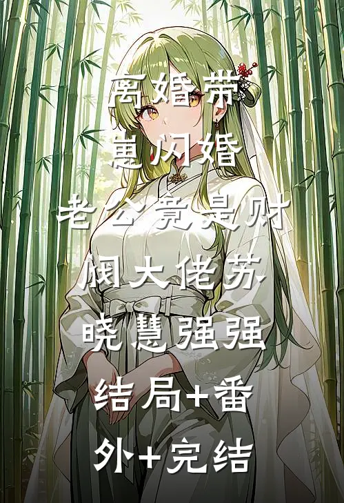 离婚带崽闪婚，老公竟是财阀大佬苏晓慧强强:结局+番外+完结