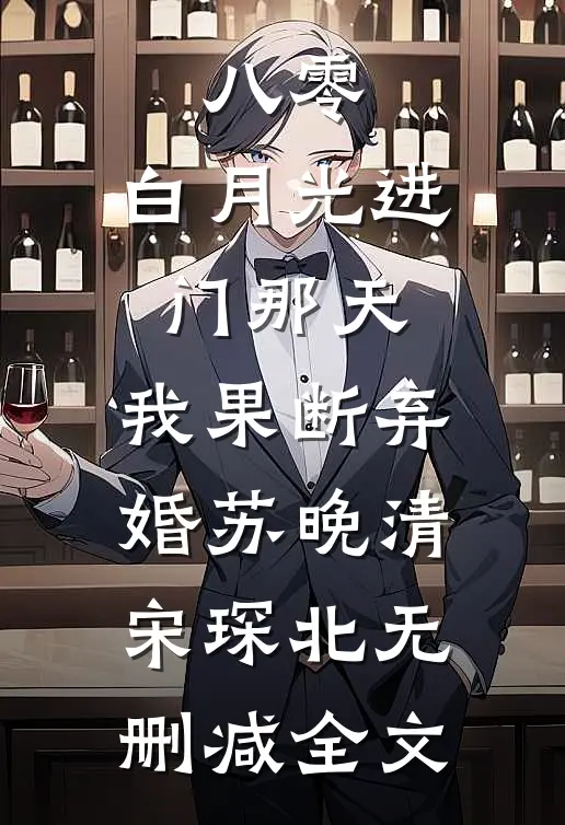 八零：白月光进门那天，我果断弃婚苏晚清宋琛北无删减全文