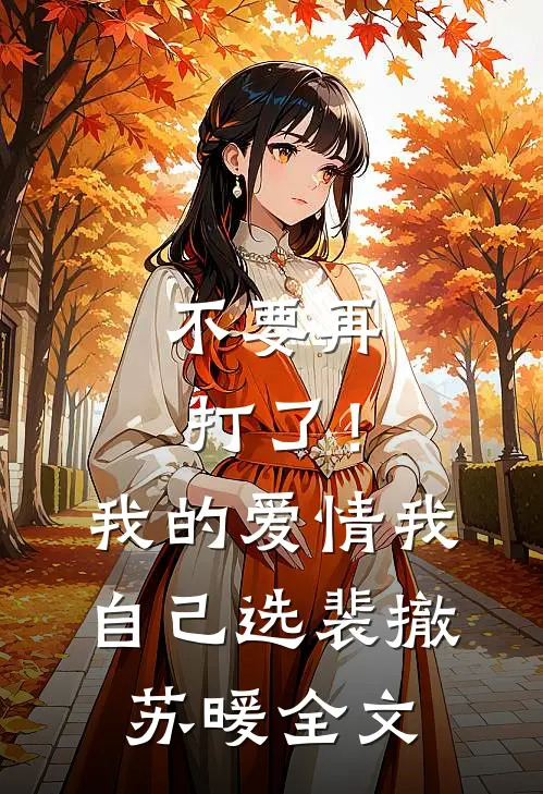 不要再打了！我的爱情我自己选裴撤苏暖全文