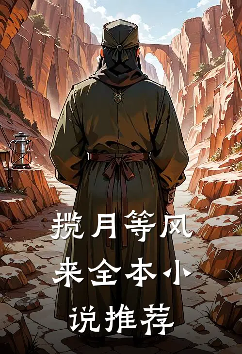 揽月等风来全本小说推荐