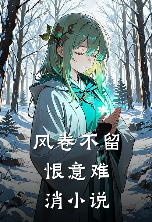 风卷不留，恨意难消小说
