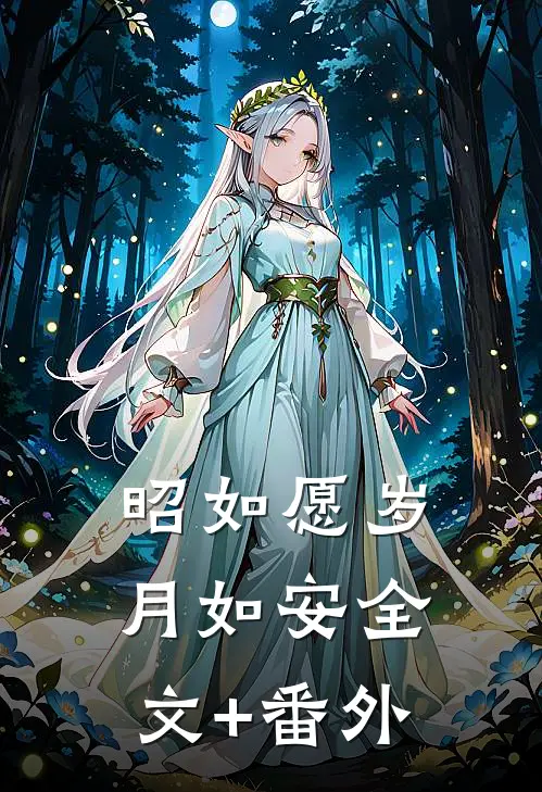 昭如愿岁月如安全文+番外