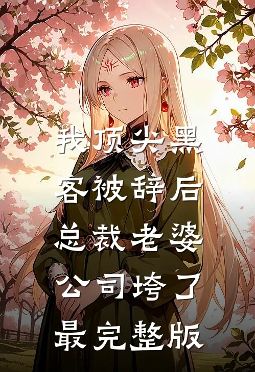 我顶尖黑客被辞后，总裁老婆公司垮了最完整版